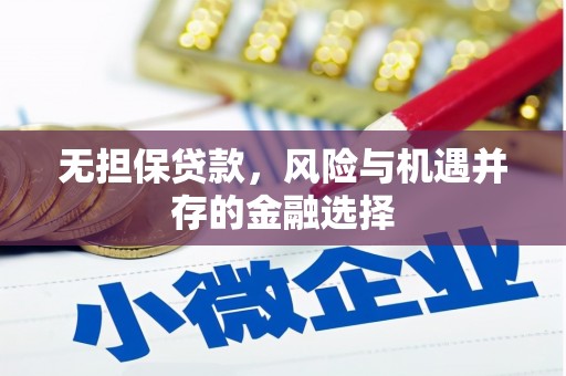 崇左无担保贷款，风险与机遇并存的金融选择