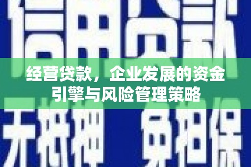 崇左经营贷款，企业发展的资金引擎与风险管理策略
