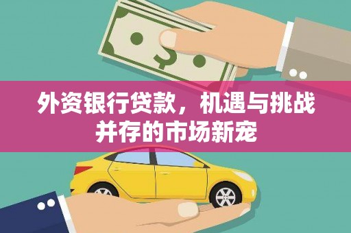 崇左外资银行贷款，机遇与挑战并存的市场新宠
