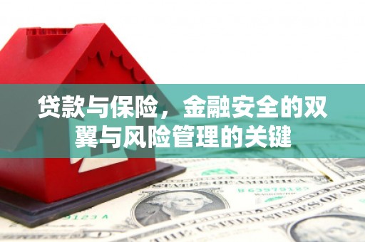 崇左贷款与保险，金融安全的双翼与风险管理的关键