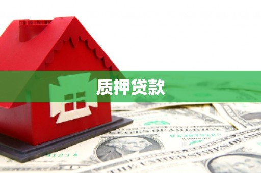 崇左质押贷款