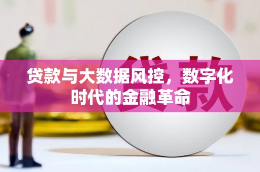 崇左贷款与大数据风控，数字化时代的金融革命