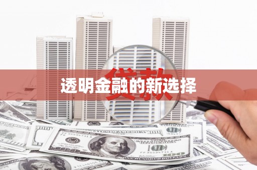 崇左透明金融的新选择