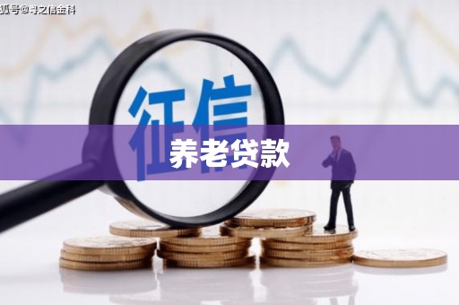 崇左养老贷款