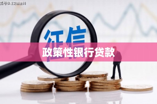 崇左政策性银行贷款