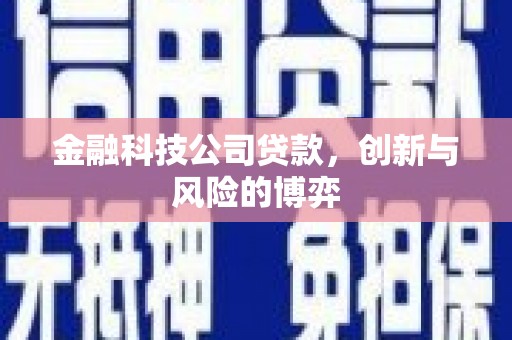 崇左金融科技公司贷款，创新与风险的博弈