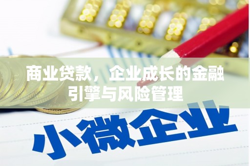 崇左商业贷款，企业成长的金融引擎与风险管理
