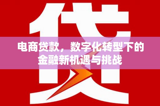 崇左电商贷款，数字化转型下的金融新机遇与挑战