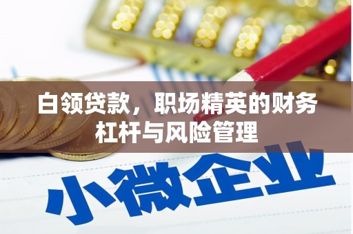 崇左白领贷款，职场精英的财务杠杆与风险管理