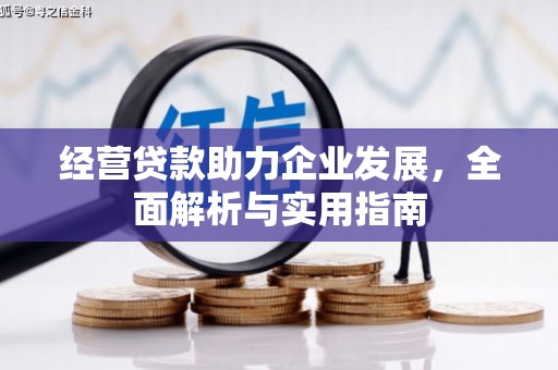 崇左经营贷款助力企业发展，全面解析与实用指南