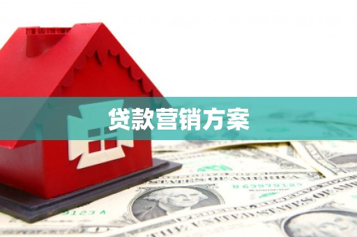 崇左贷款营销方案