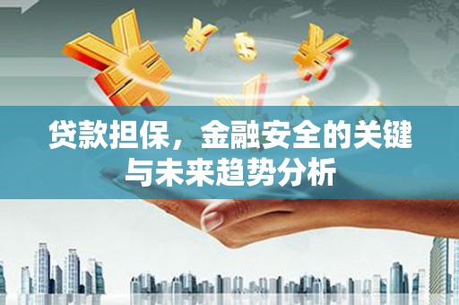 崇左贷款担保，金融安全的关键与未来趋势分析
