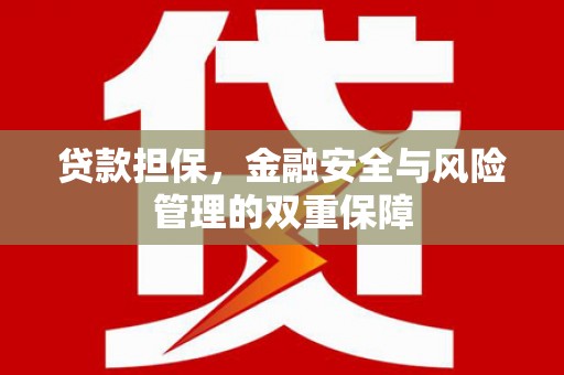 崇左贷款担保，金融安全与风险管理的双重保障