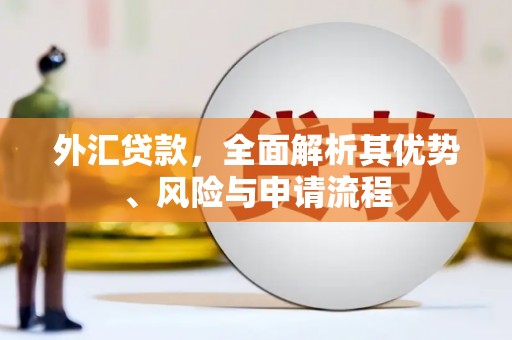 崇左外汇贷款，全面解析其优势、风险与申请流程