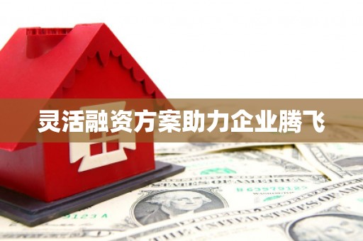 崇左灵活融资方案助力企业腾飞