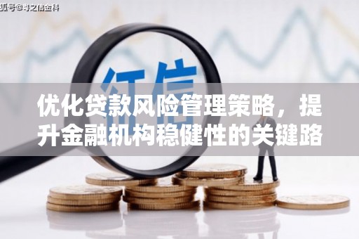 崇左优化贷款风险管理策略，提升金融机构稳健性的关键路径