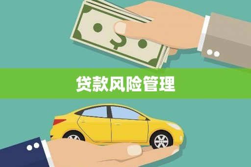 崇左贷款风险管理