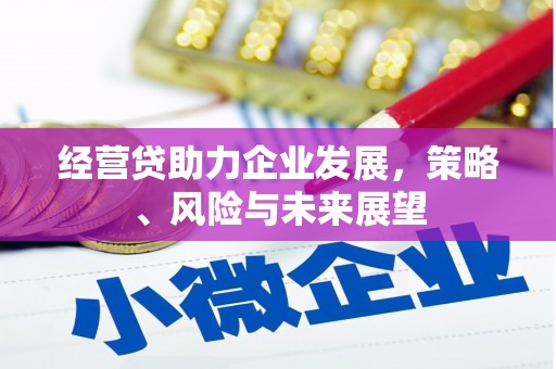 崇左经营贷助力企业发展，策略、风险与未来展望
