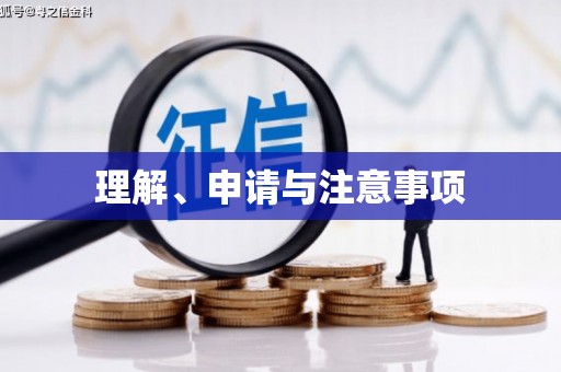崇左理解、申请与注意事项