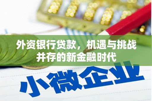 崇左外资银行贷款，机遇与挑战并存的新金融时代