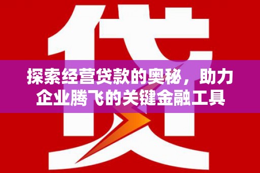 崇左探索经营贷款的奥秘，助力企业腾飞的关键金融工具