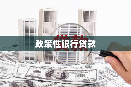 崇左政策性银行贷款