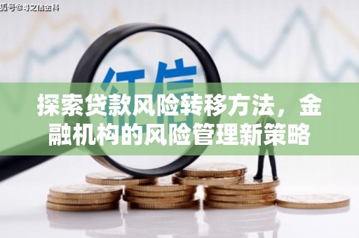 崇左探索贷款风险转移方法，金融机构的风险管理新策略