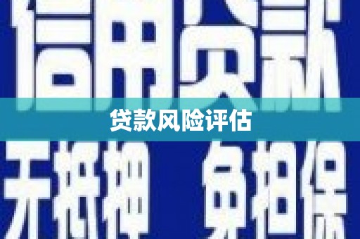 崇左贷款风险评估