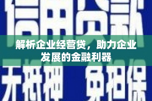 崇左解析企业经营贷，助力企业发展的金融利器