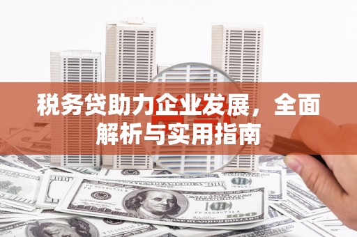 崇左税务贷助力企业发展，全面解析与实用指南
