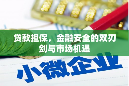 崇左贷款担保，金融安全的双刃剑与市场机遇