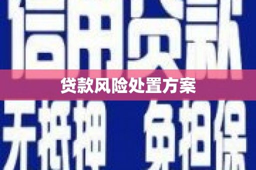 崇左贷款风险处置方案