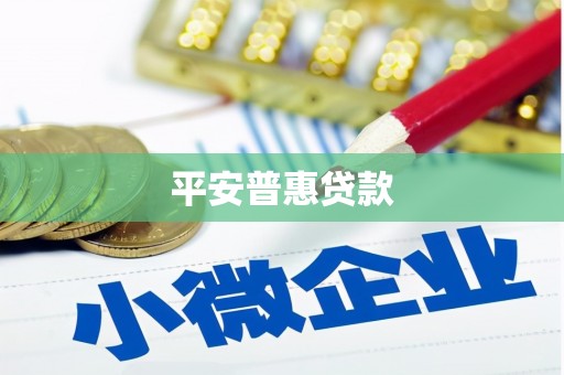 崇左平安普惠贷款