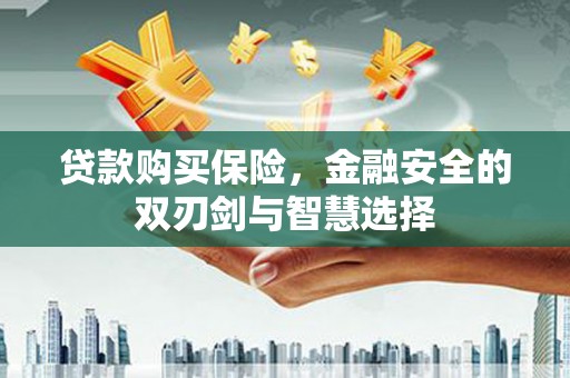 崇左贷款购买保险，金融安全的双刃剑与智慧选择
