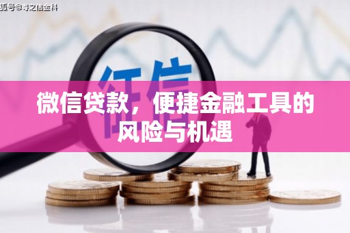 崇左微信贷款，便捷金融工具的风险与机遇