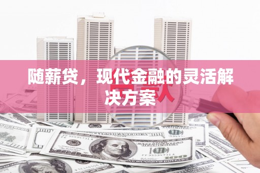 崇左随薪贷，现代金融的灵活解决方案