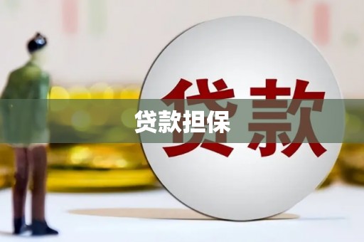 崇左贷款担保