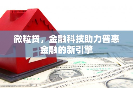 崇左微粒贷，金融科技助力普惠金融的新引擎