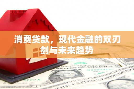 崇左消费贷款，现代金融的双刃剑与未来趋势