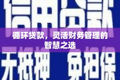 崇左循环贷款，灵活财务管理的智慧之选
