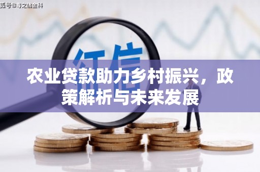 崇左农业贷款助力乡村振兴，政策解析与未来发展