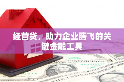 崇左经营贷，助力企业腾飞的关键金融工具