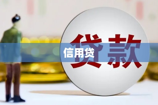 崇左信用贷