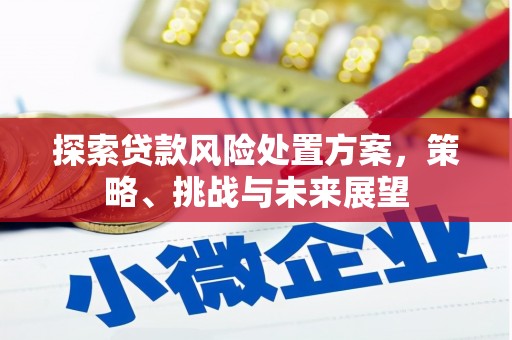 崇左探索贷款风险处置方案，策略、挑战与未来展望