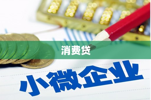 崇左消费贷