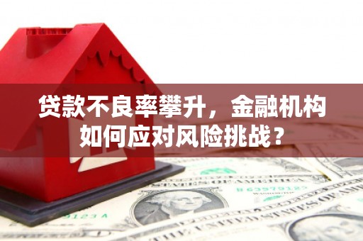崇左贷款不良率攀升，金融机构如何应对风险挑战？