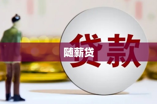 崇左随薪贷