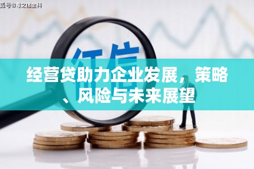 崇左经营贷助力企业发展，策略、风险与未来展望