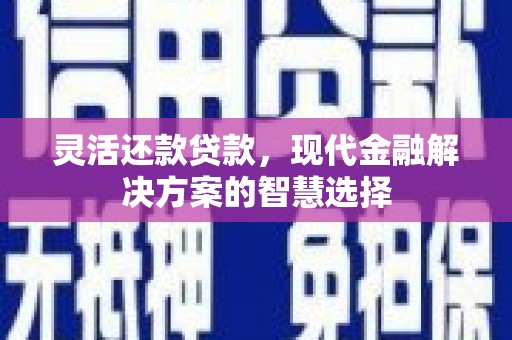 崇左灵活还款贷款，现代金融解决方案的智慧选择