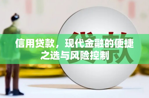 崇左信用贷款，现代金融的便捷之选与风险控制